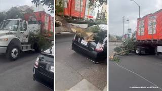 U-Haul hits cars with stuck tree limb in North Hollywood, video shows
