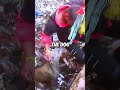 the dog was buried up to its neck in garbage 💔