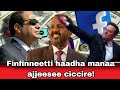 Oduu TikTokers F Badhaasni 5000 Qophaa E Finfinneetti Namicha Haadha Manaa Ajjeese Oduu TikTokers F Badhaasni 5000 Qophaa E Finfinneetti Namicha Haadha Manaa Ajjeese