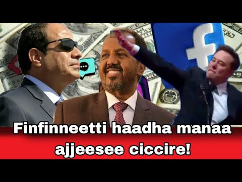 Oduu TikTokers F Badhaasni 5000 Qophaa E Finfinneetti Namicha Haadha Manaa Ajjeese