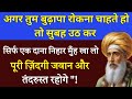 Luqman Hakeem Quotes in Urdu | Hikmat Ki Batain | Health & Wisdom Tips | Golden Words