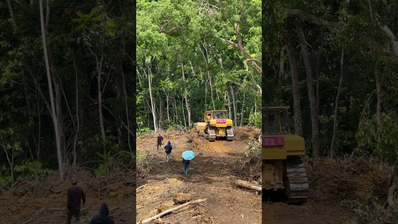 New Road Grading Process in the Garden by Bulldozer D6R XL