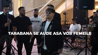 IONUT FLOREA❎TARABANA SE AUDE ASA VOR FEMEILE 2025❎Nunta Stefan & Dana❎ASA VOR FEMEILE❎Crewetzel