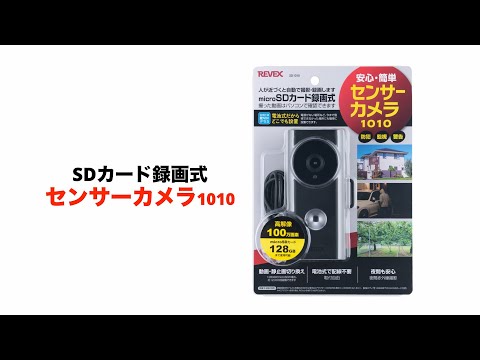 動画