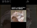【開運レシピ】恋愛運アップ間違いなし♪鶏肉のダッチオーブン焼き #開運レシピ #鶏肉 #ダッチオーブン #七赤金星 #恋愛運 #出逢い運#厄払い #強運体質 #星谷礼香 #運気アップ #今日から開運!