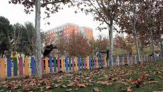 (DL) ∂αиμтzPark 2011/Romanian Blood - Free Running