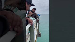 Release fish goen wrong 🐠 🐟😂#fyp #fish #fail #funny #release