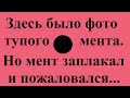 Мой диалог с ментами: именно так им нужно отвечать