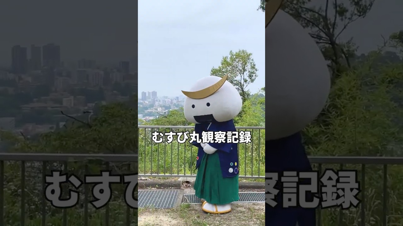 むすび丸観察記録 - YouTube
