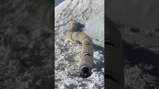 NASA’s Jet Propulsion Laboratory EELS: Exploring the Unreachable