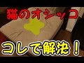 猫のおしっこの臭いを消す簡単な方法！ - Easy way to erase the smell of cats urine!