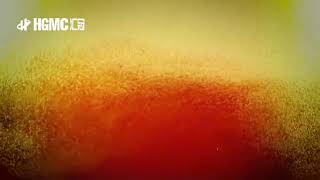 5000L Craft Beer Project