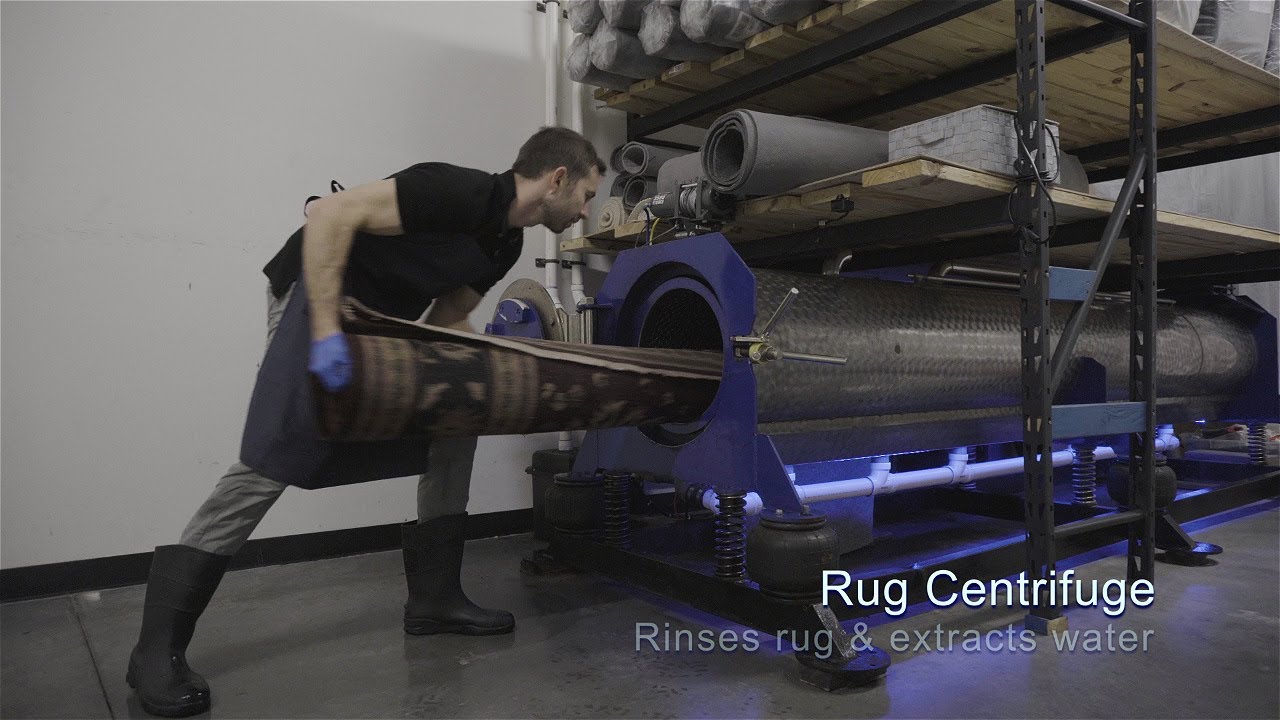 Satisfying Rug Cleaning in Asheville, NC YouTube