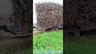 Overloading the Turn: When a Harvest's Weight Meets Soft Ground screenshot 5