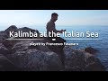 Kalimba at the italian sea played by francesco fasanaro  meinl sonic energy