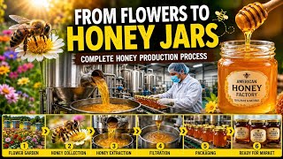 🍯 Amazing Honey Processing Factory | From Flower Garden to Packaging
