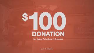 October 2023 Muller Subaru Loves Pets Adoption Event