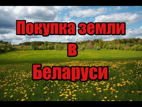 Как купить землю в Беларуси в пожизненное владение! Под водные камни и очень важные нюансы!