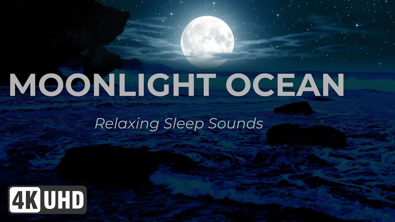 (No Ads) Moonlight Ocean Relaxing Sleep Sounds (11 Hours) 🌕 Night Waves Hitting Rocks Ambience