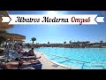 Отель Albatros Moderna (Шарм-эль-Шейх, ) | Прожили 7 дней