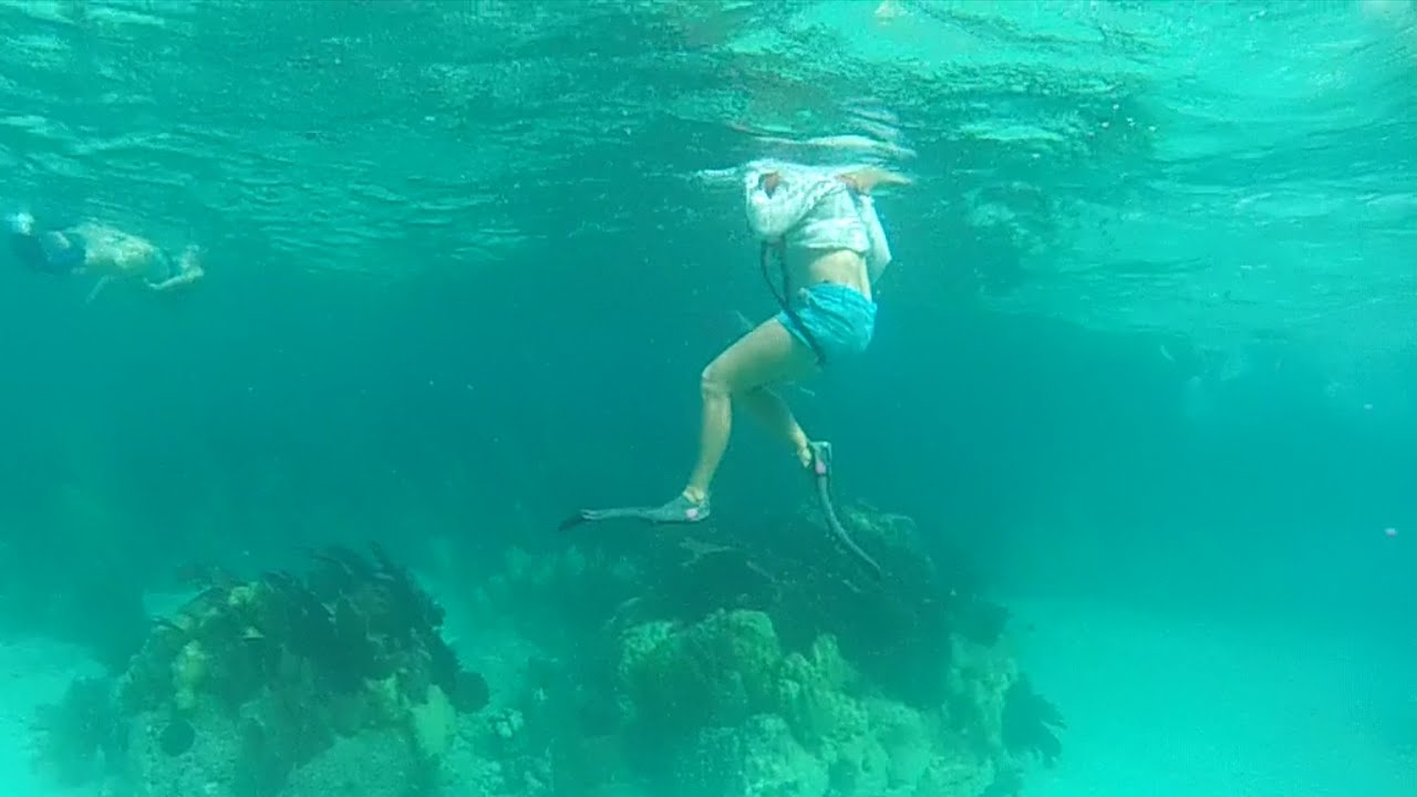 Snorkeling The Reef Key Largo YouTube