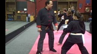 Shou Shu Fighting Stance