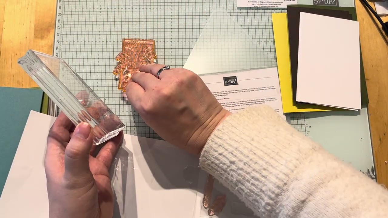 Stempelacademie- kaartpakket januari ‘26 Friendly foliage