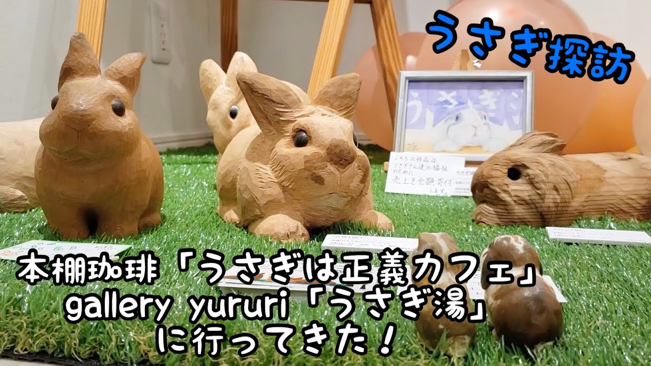 うさぎ探訪 うさぎは正義コラボカフェとうさぎ湯に行ってきたぞ 435 Youtube