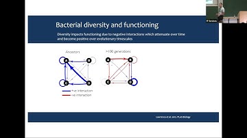 Prof. Thomas Bell | Ecosystem functioning in miniature