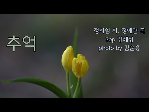 추억-정사임 시. 정애련 곡. Sop 강혜정. photo by 김순용(금난초)