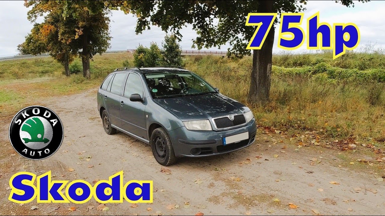 Skoda Fabia 1.4 бензин 75 л.с. 2006 г. Максимальная скорость на шоссе? Обзор автомобиля точки зрения