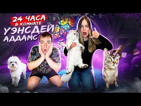 24 ЧАСА В