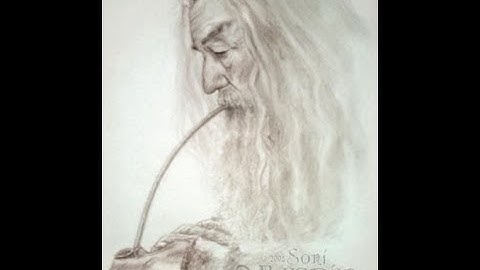 Lotro Live ! Tales from Treebeard - Leveling my Guardian