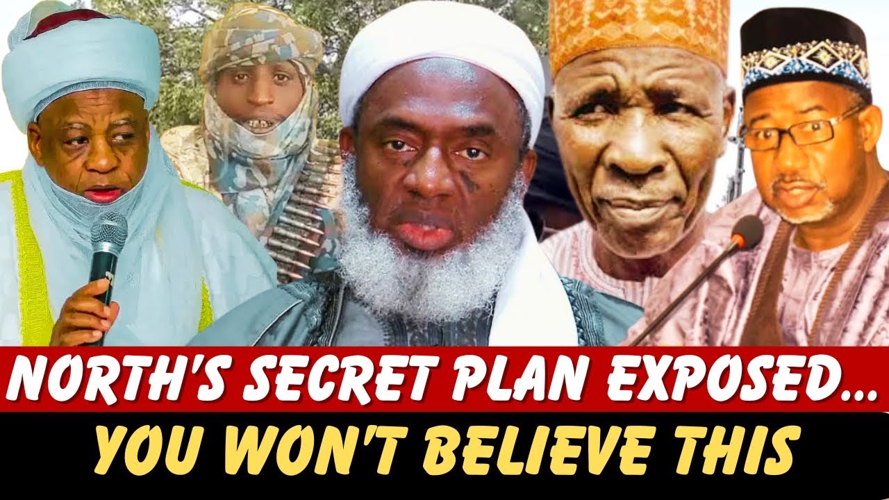 СЕВЕРНАЯ НИГЕРИЯ ХОЧЕТ ВЫХОДИТЬ: ОНИ ОТВЕРГАЮТ РАВЕНСТВО, ПРЕДПОЧИТАЮТ ГОСПОДСТВО — РАСКРЫВАЕТ КО...