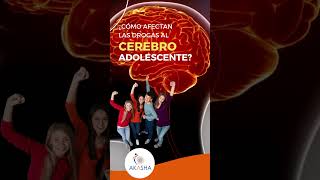 ¿Por qué no es recomendable el consumo de alcohol y drogas antes de los 21 años? 🤕🧠🤔