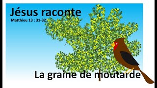 La graine de moutarde (sénevé). Spécial Jésus raconte en Mt 13: 31-21 screenshot 3
