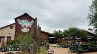    Wildseed Farms Texas Tour | Best Wildflower Spot Near San Antonio