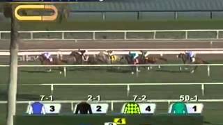 2013 Gulfstream Park Turf Handicap POINT OF ENTRY