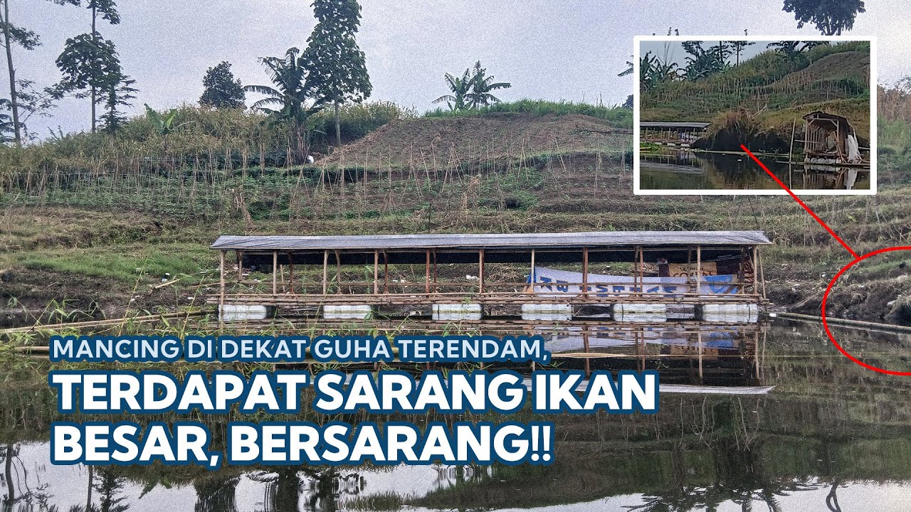 SPOT BARU! Mancing Disamping Guha Ternyata ada Sarang Ikan Besar - Mancing Saguling Terbaru 2026 #81