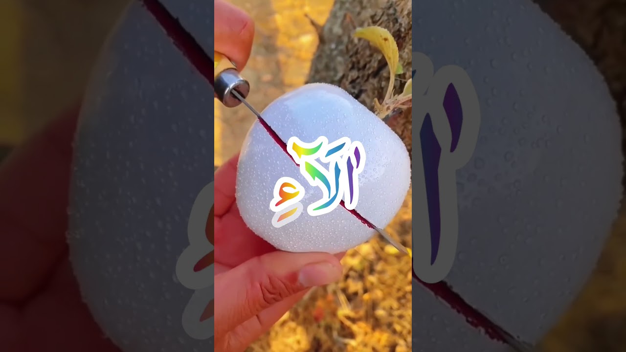 Best Islamic Status 🕋|Daily Quran Recitation 