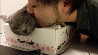 飼い猫(オス)に告白して、交際を迫る男