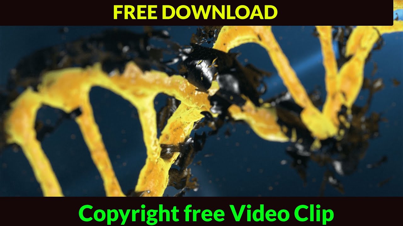 Copyright free Video Clips Download Use Any Where YouTube