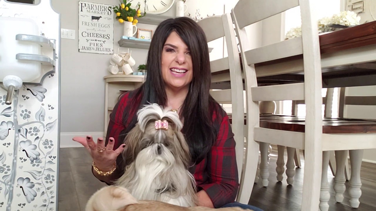 How to keep Shih Tzu, Old English Sheepdog, Yorkie and other dog beards