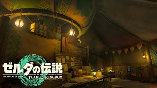 Zelda Music & Ambience | TOP 5 Relaxing Places for Desk Work | Part 1 | Tears of the Kingdom