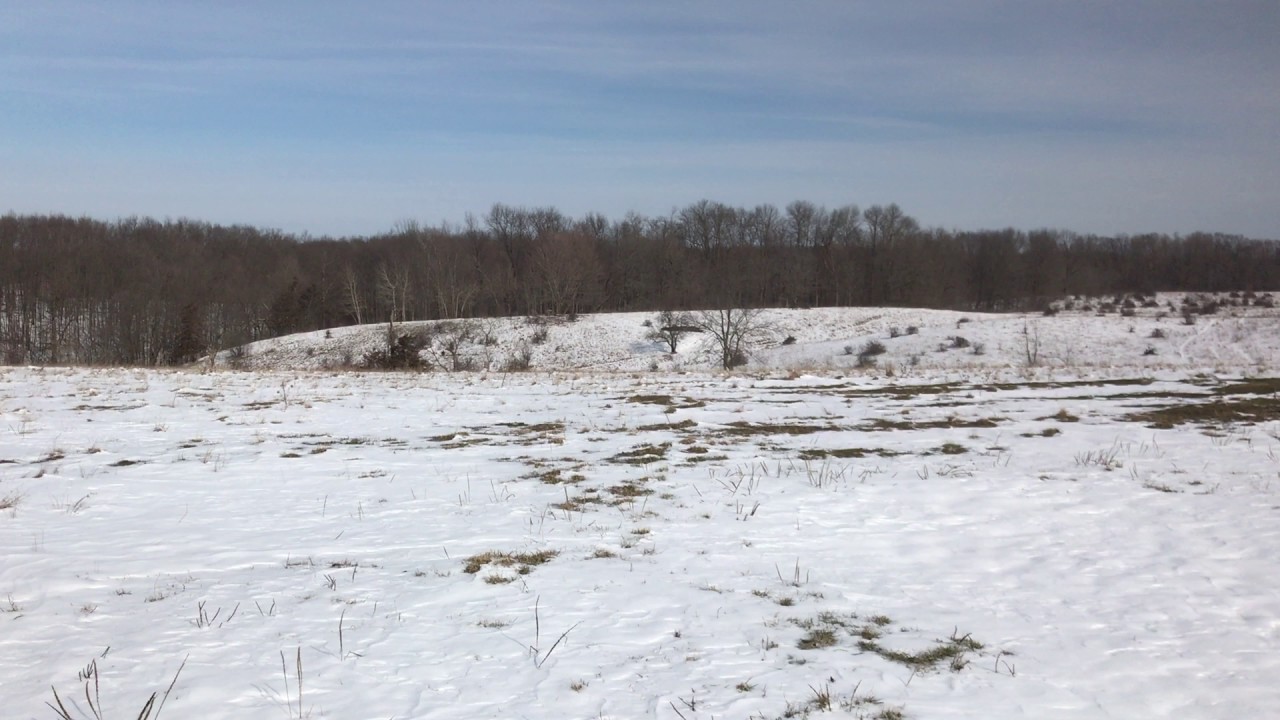 80 Acres Buildable & Recreational Land Knapp, WI YouTube