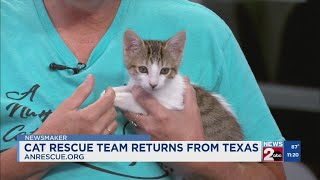 Newsmaker: Cat rescue team returns from Texas