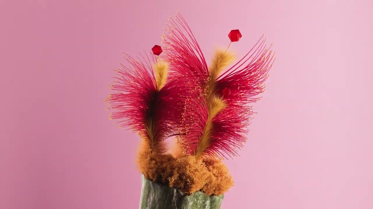 ‘Papilio Fern’ - Digital Garden | Andréa Philippon