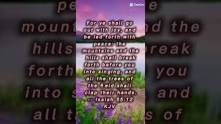 cathedral quartet step into the water #dailyinspiration