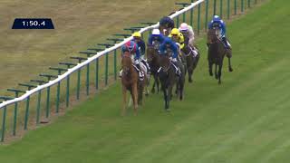 Vidéo de la course PMU PRIX ROYAL-OAK