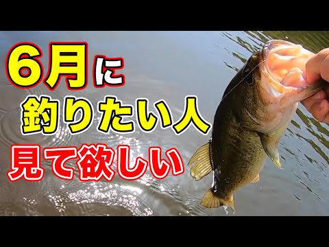 バス釣り 6月梅雨アフタースポーニングの釣り方や釣れる時期やルアーワームの狙うポイントも徹底解説してみた 22年最新情報 野池 ダム 川 初夏 晩春 Youtube